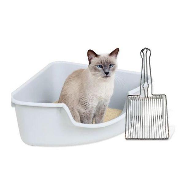 Pazinha Cat Toilet