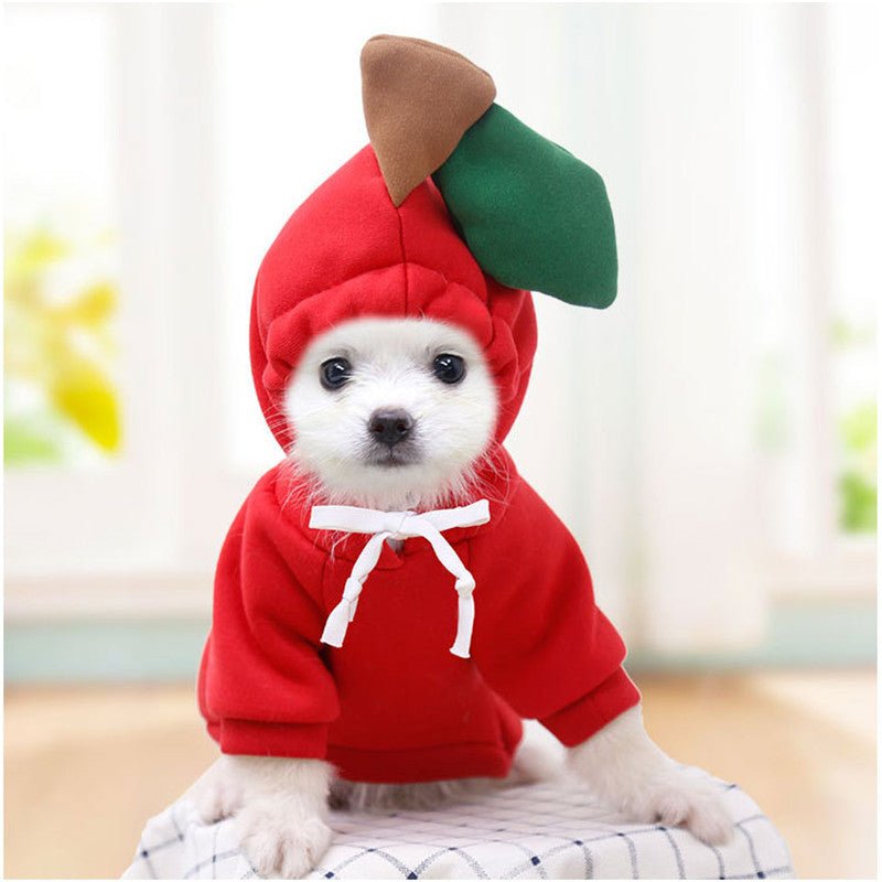 Moletom Pet Cuttie™ | Roupa Para Cachorro